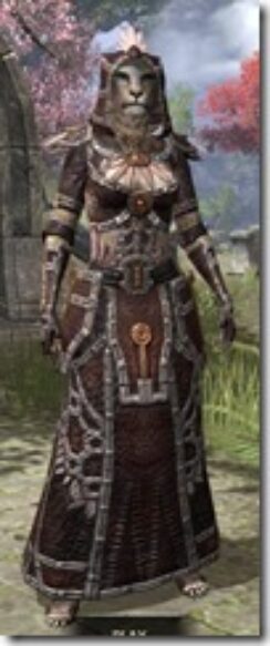 Argonian-Spidersilk-Khajiit-Female-Robe-Front_thumb.jpg