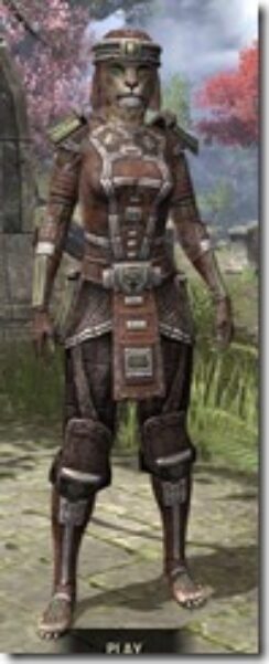 Argonian-Steel-Khajiit-Female-Front_thumb.jpg