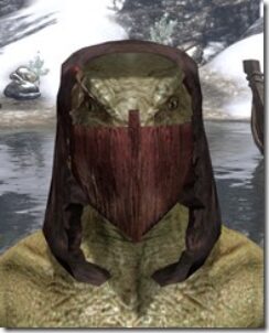 Ashlander-Medium-Helmet-Argonian-Male-Front_thumb.jpg