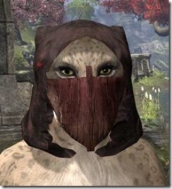 Ashlander-Medium-Helmet-Khajiit-Female-Front_thumb.jpg