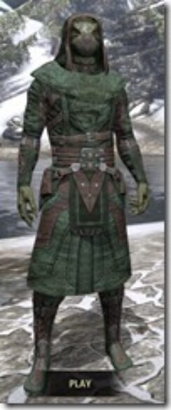 Assassins-League-Homespun-Argonian-Male-Robe-Front_thumb.jpg