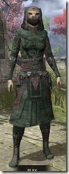 Assassins-League-Homespun-Khajiit-Female-Robe-Front_thumb.jpg