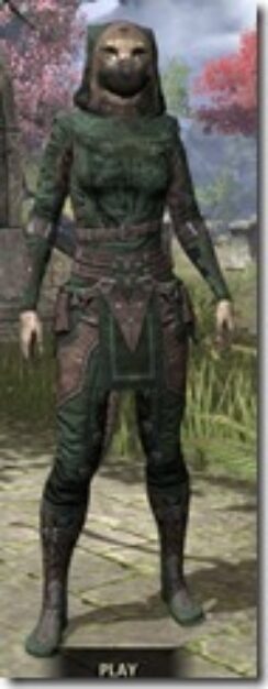 Assassins-League-Homespun-Khajiit-Female-Shirt-Front_thumb.jpg