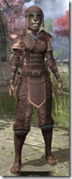 Breton-Hide-Khajiit-Female-Front_thumb.jpg