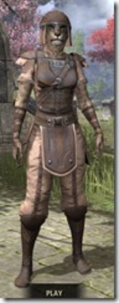 Breton-Rawhide-Khajiit-Female-Front_thumb.jpg
