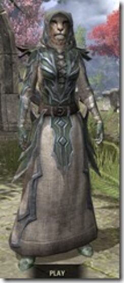 Daedric-Homespun-Khajiit-Female-Robe-Front_thumb.jpg
