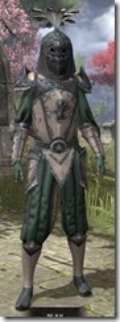 Daggerfall-Covenant-Homespun-Khajiit-Female-Shirt-Front_thumb.jpg