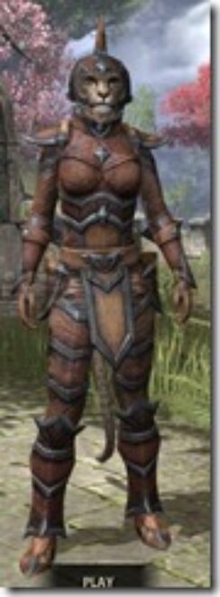 Dark-Elf-Hide-Khajiit-Female-Front_thumb.jpg