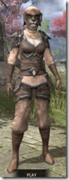 Dark-Elf-Homespun-Khajiit-Female-Shirt-Front_thumb.jpg