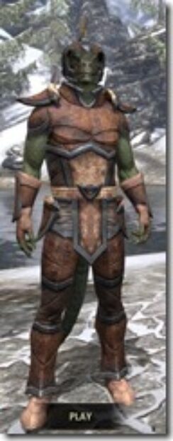 Dark-Elf-Rawhide-Argonian-Male-Front_thumb.jpg