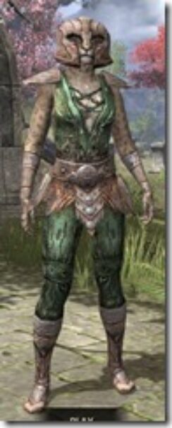 Draugr-Homespun-Khajiit-Female-Shirt-Front_thumb.jpg