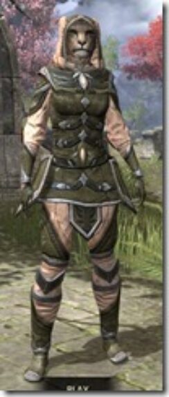 High-Elf-Cotton-Khajiit-Female-Shirt-Front_thumb.jpg