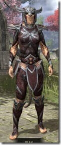High-Elf-Full-Leather-Khajiit-Female-Front_thumb.jpg