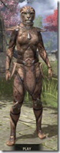 High-Elf-Hide-Khajiit-Female-Front_thumb.jpg