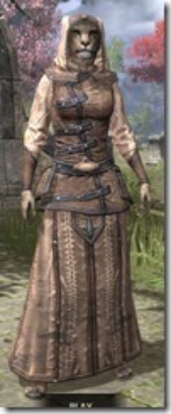 High-Elf-Homespun-Khajiit-Female-Robe-Front_thumb.jpg