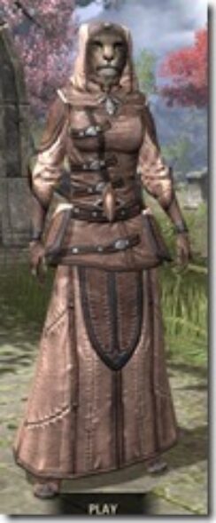 High-Elf-Linen-Khajiit-Female-Robe-Front_thumb.jpg