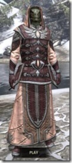 High-Elf-Spidersilk-Argonian-Male-Robe-Front_thumb.jpg