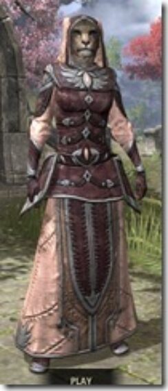 High-Elf-Spidersilk-Khajiit-Female-Robe-Front_thumb.jpg