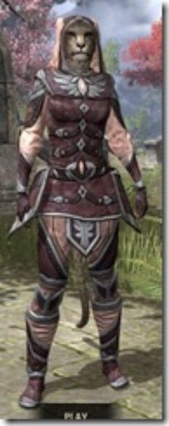 High-Elf-Spidersilk-Khajiit-Female-Shirt-Front_thumb.jpg