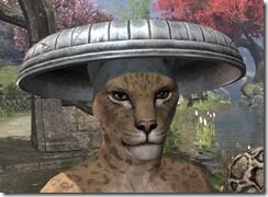 Honor-Guard-Homespun-Hat-Khajiit-Female-Front_thumb.jpg