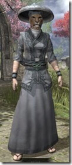 Honor-Guard-Homespun-Khajiit-Female-Robe-Front_thumb.jpg
