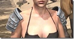 Honor-Guard-Iron-Pauldron-Female-Front_thumb.jpg