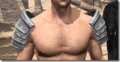 Honor-Guard-Iron-Pauldron-Male-Front_thumb.jpg