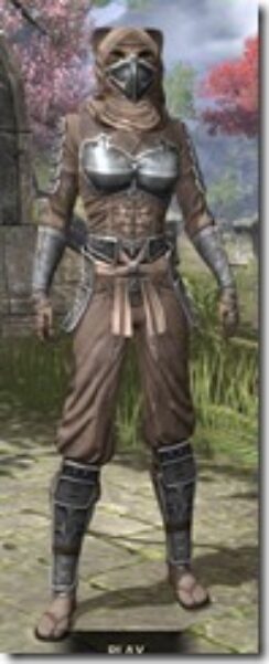 Honor-Guard-Rawhide-Khajiit-Female-Front_thumb.jpg