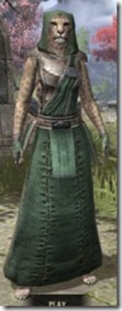 Imperial-Homespun-Khajiit-Female-Robe-Front_thumb.jpg