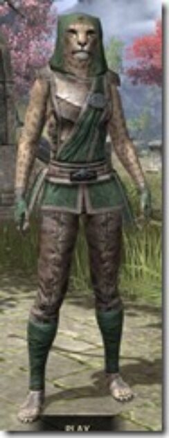 Imperial-Homespun-Khajiit-Female-Shirt-Front_thumb.jpg