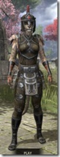 Imperial-Leather-Khajiit-Female-Front_thumb.jpg
