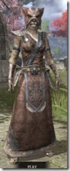 Khajiit-Cotton-Khajiit-Female-Robe-Front_thumb.jpg