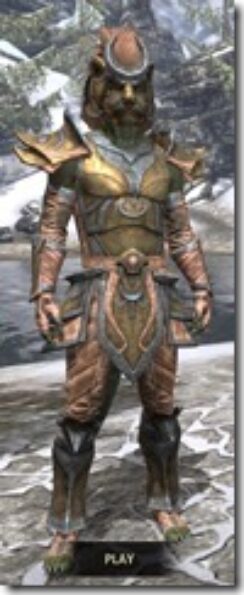 Khajiit-Dwarven-Argonian-Male-Front_thumb.jpg
