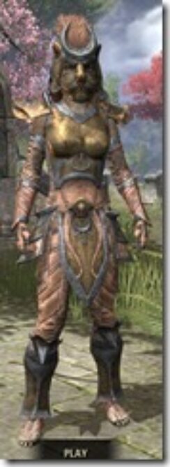 Khajiit-Dwarven-Khajiit-Female-Front_thumb.jpg