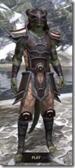 Khajiit-Full-Leather-Argonian-Male-Front_thumb.jpg