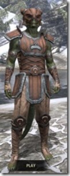 Khajiit-Hide-Argonian-Male-Front_thumb.jpg