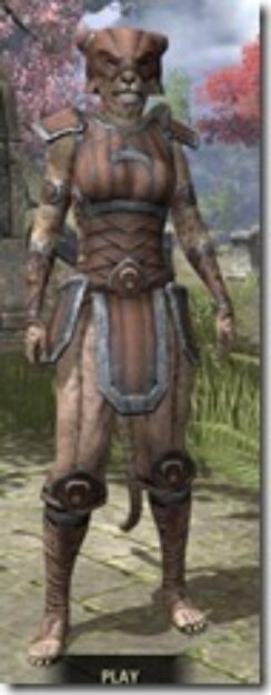 Khajiit-Hide-Khajiit-Female-Front_thumb.jpg