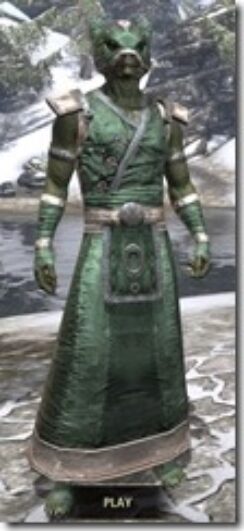 Khajiit-Homespun-Argonian-Male-Robe-Front_thumb.jpg