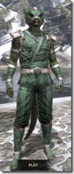 Khajiit-Homespun-Argonian-Male-Shirt-Front_thumb.jpg