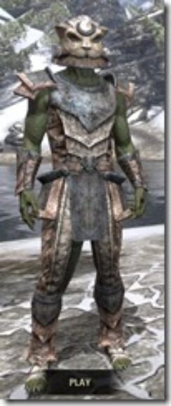 Khajiit-Iron-Argonian-Male-Front_thumb.jpg