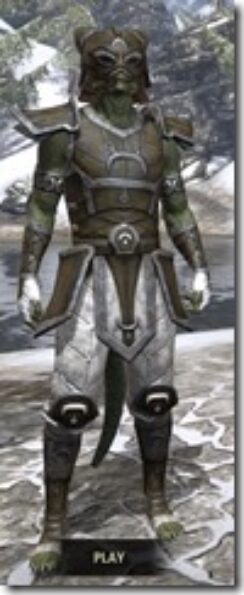 Khajiit-Leather-Argonian-Male-Front_thumb.jpg