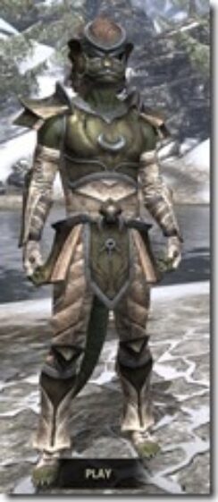 Khajiit-Orichalc-Argonian-Male-Front_thumb.jpg