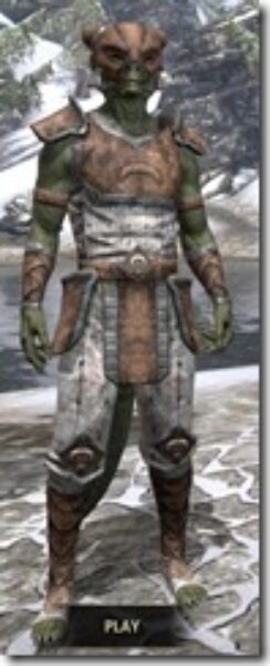 Khajiit-Rawhide-Argonian-Male-Front_thumb.jpg