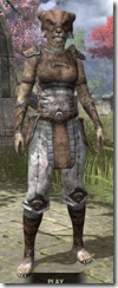 Khajiit-Rawhide-Khajiit-Female-Front_thumb.jpg