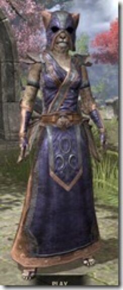 Khajiit-Spidersilk-Khajiit-Female-Robe-Front_thumb.jpg