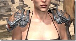 Lyris-Titanborns-Pauldrons-Female-Front_thumb.jpg