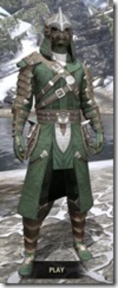 Mercenary-Homespun-Argonian-Male-Robe-Front_thumb.jpg