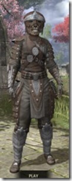 Mercenary-Rawhide-Khajiit-Female-Front_thumb.jpg