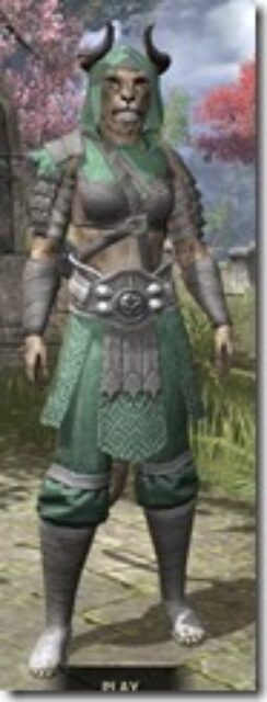 Minotaur-Homespun-Khajiit-Female-Robe-Front_thumb.jpg