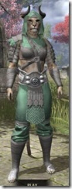Minotaur-Homespun-Khajiit-Female-Shirt-Front_thumb.jpg